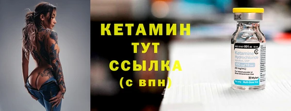 прущие грибы Балахна