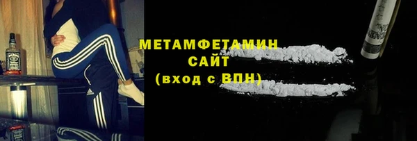 прущие грибы Балахна