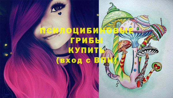 прущие грибы Балахна