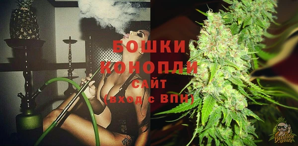 шишки Балабаново