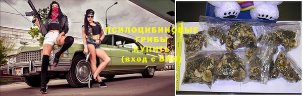 прущие грибы Балахна