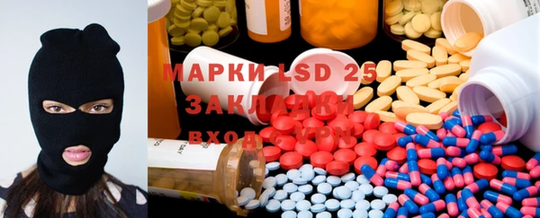 прущие грибы Балахна