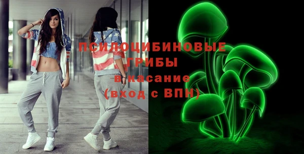 шишки Балабаново